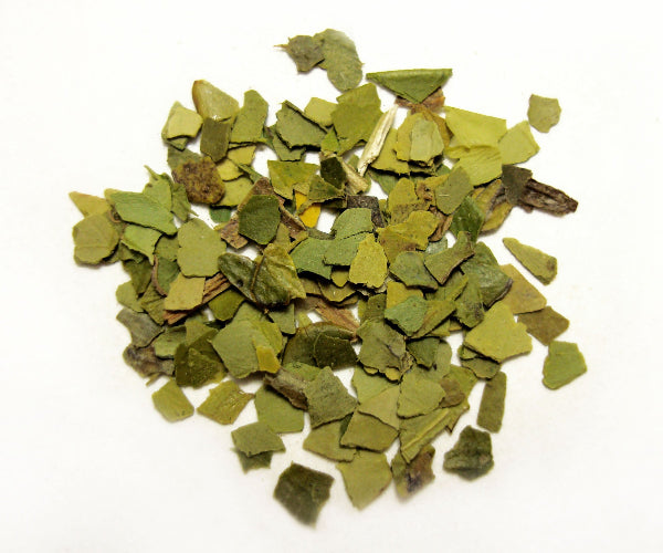 Green Tea Strand Yerba Maté - Organic Green | Strand Tea Company