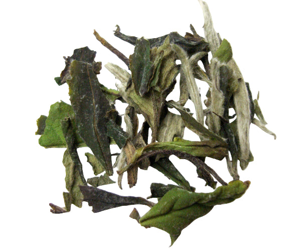Bai Mu Dan Super Fancy White Tea ~ Organic